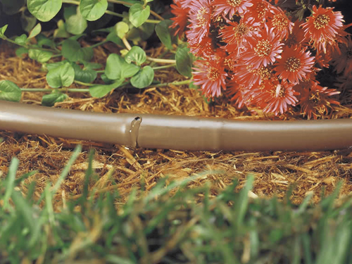 Drip irrigation: an economical part of your garden insurance policy.